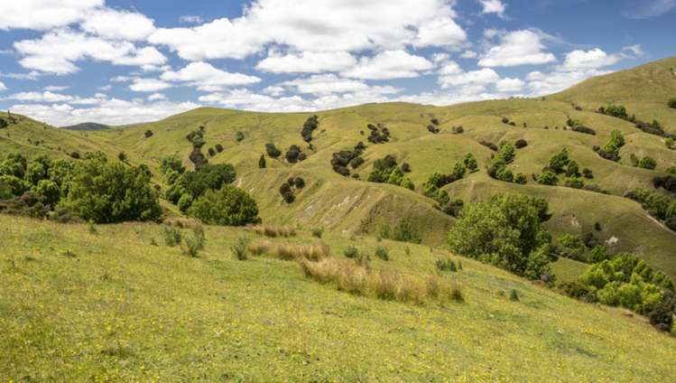 411 Cannock Road Hinakura_10