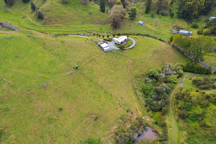 593 Waitomo Valley Road_5