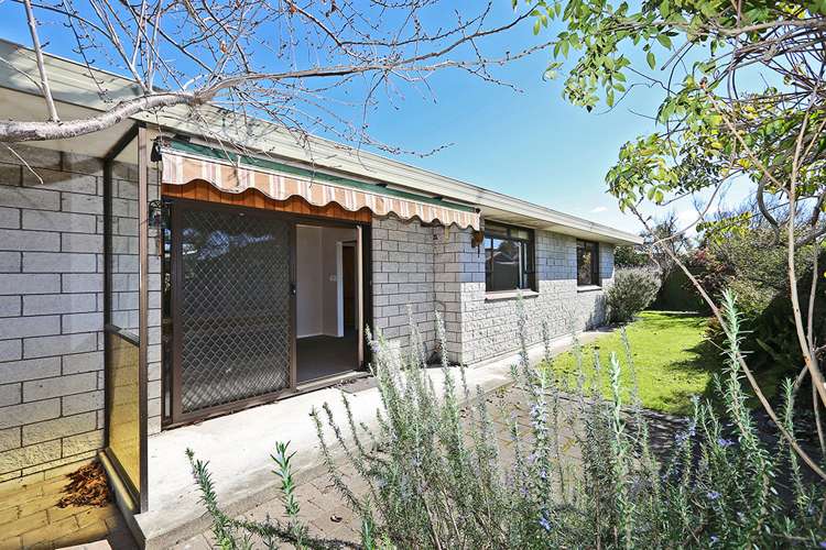 511a Cornwall Road Mahora_5