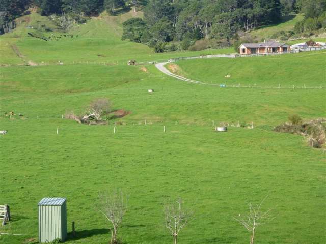 217b Golden Valley Road Waihi_1