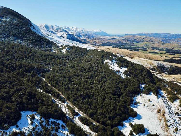 100 Mount Lyford Forest Drive Lyford_5