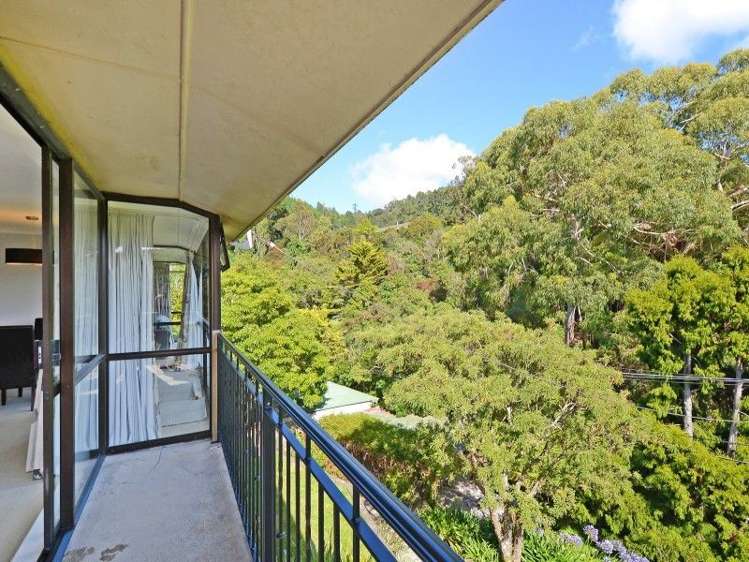 5 Winchester Avenue Pinehaven_6