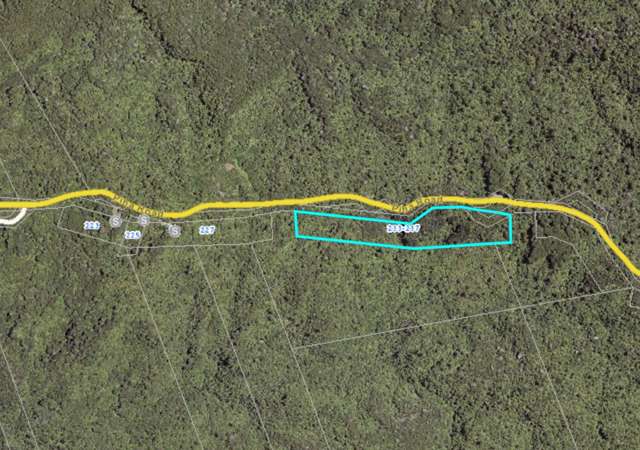 233 Piha Road Piha_3