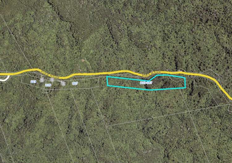233 Piha Road Piha_3