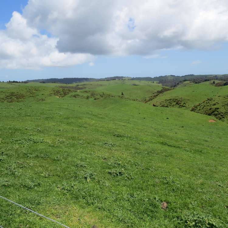 613 Pirongia West Road Oparau_10