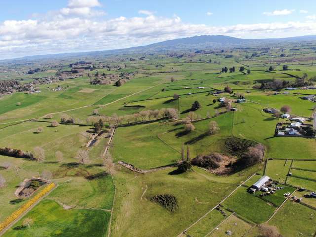 2/4798 Ohaupo Road Te Awamutu_3