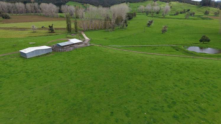 3675 Mangakahia Road Pakotai_2