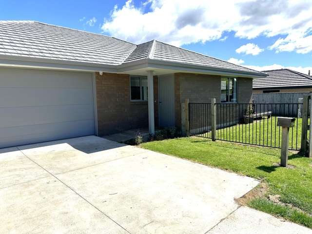 6 Picton Street Renwick_1