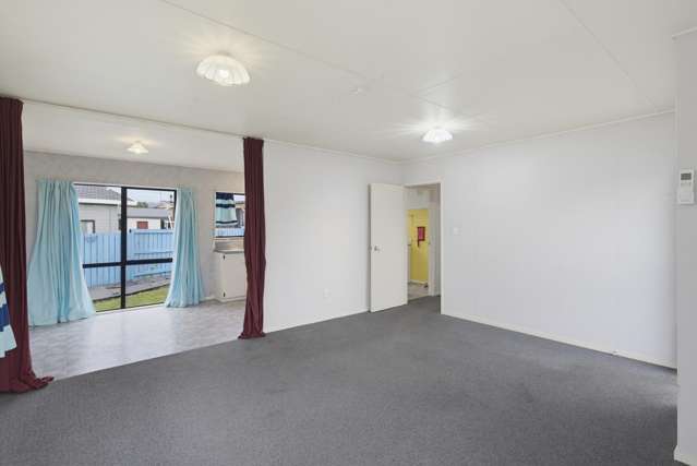23 Douglas Street Levin_3