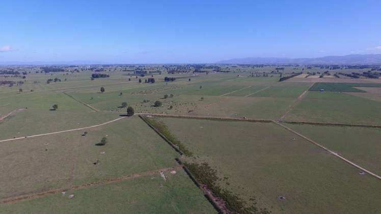 214 Fisher Road Paeroa_11