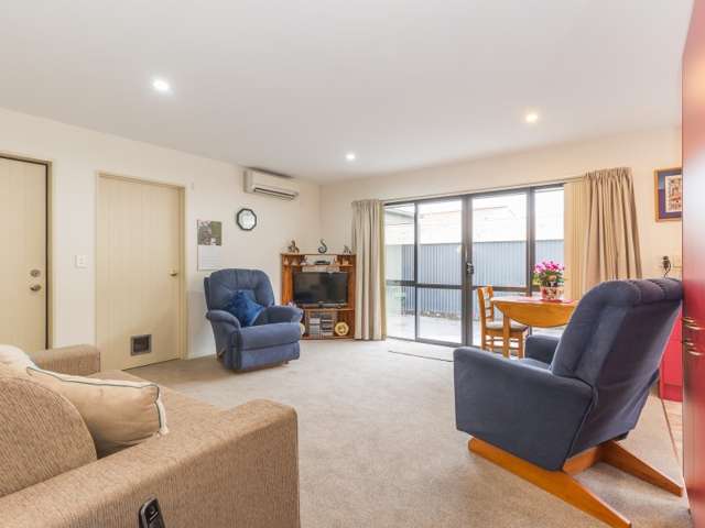 10b Sefton Place Spreydon_2