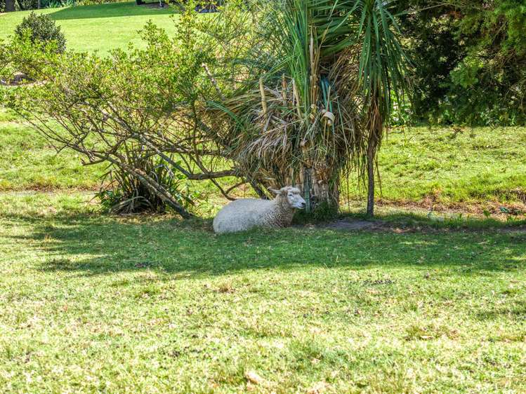 101 Mount View Road Thames_32