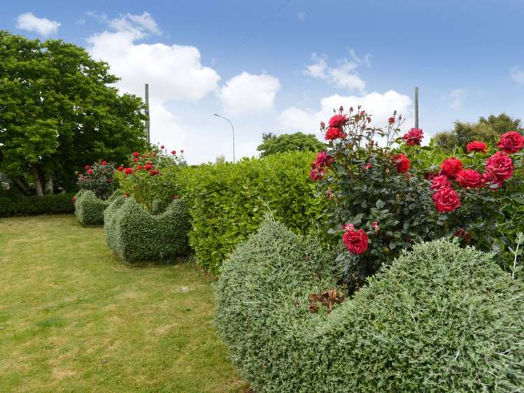 708 Murdoch Road East Akina_20