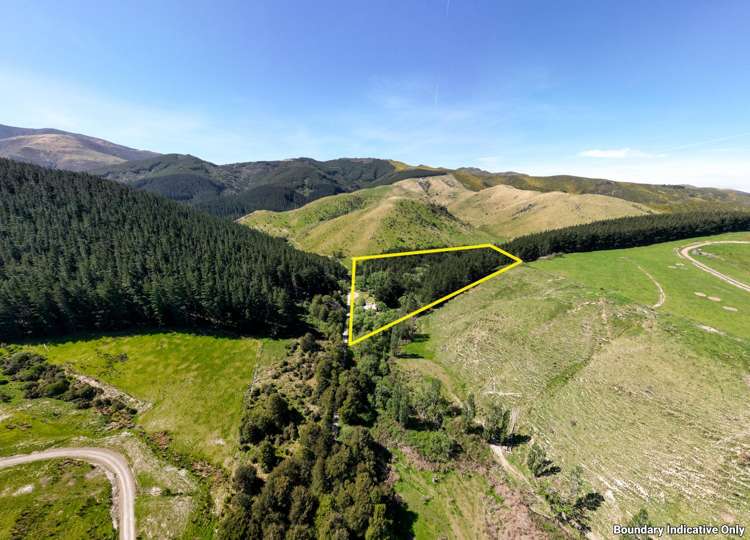 240 Sladdens Bush Road Coopers Creek_11