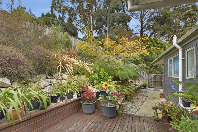 27 Arrow Street Washington Valley_4