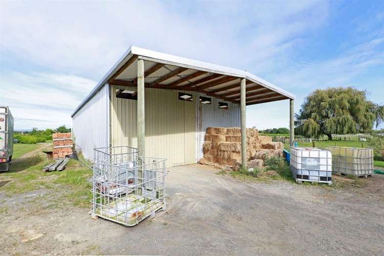 67a Davison Road Newstead_19