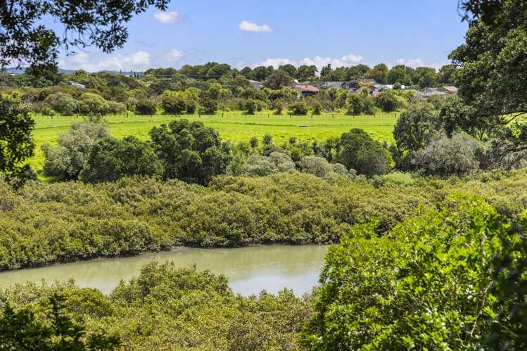 48A Sunny Brae Crescent Westmere_23