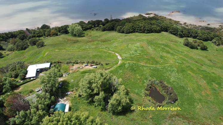 224a Petley Road Paparoa_8