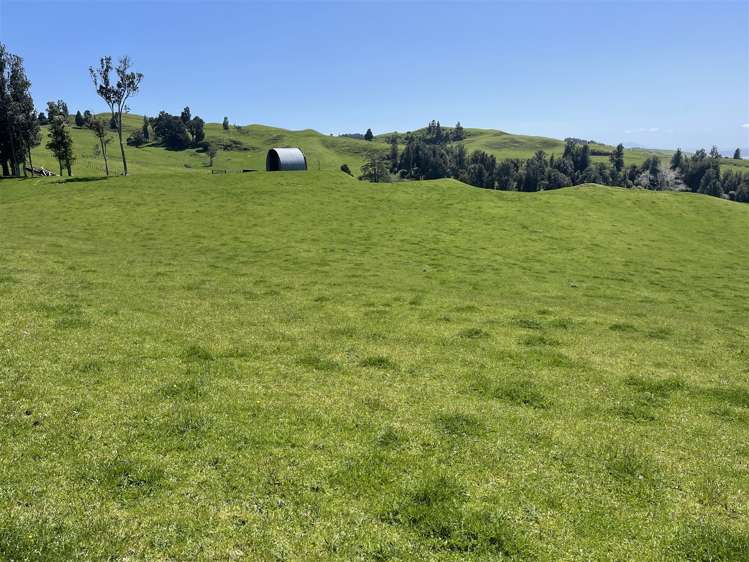 770 Owhiro Road Otorohanga_5