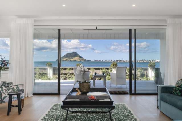 1/2 Kulim Avenue Otumoetai_2