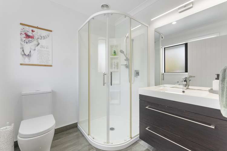 12 Peckham Lane Ashhurst_6