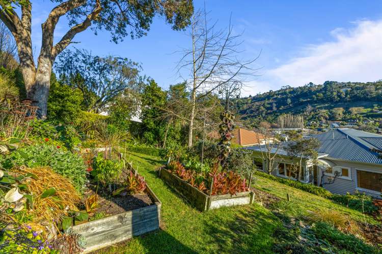 51 Vernon Terrace Hillsborough_19