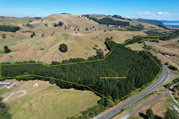 487 Whangamata Road Kinloch_7