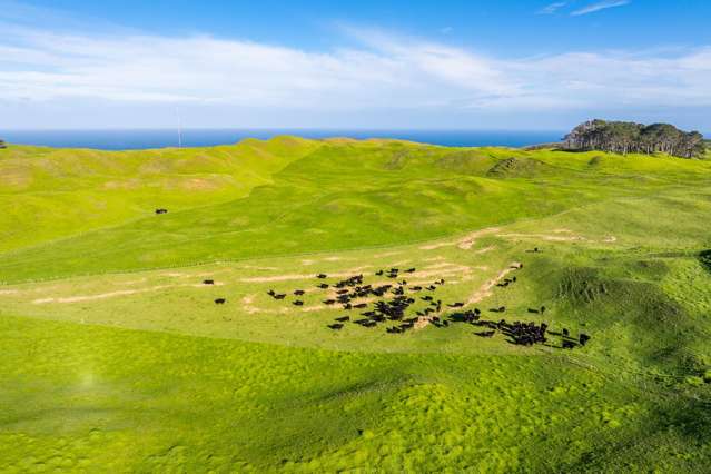 Pinaki Road Dargaville_3