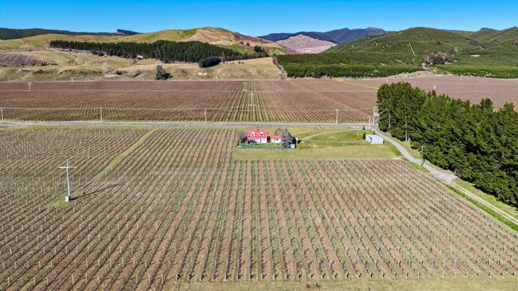 2486 State Highway 63 Wairau Valley_5
