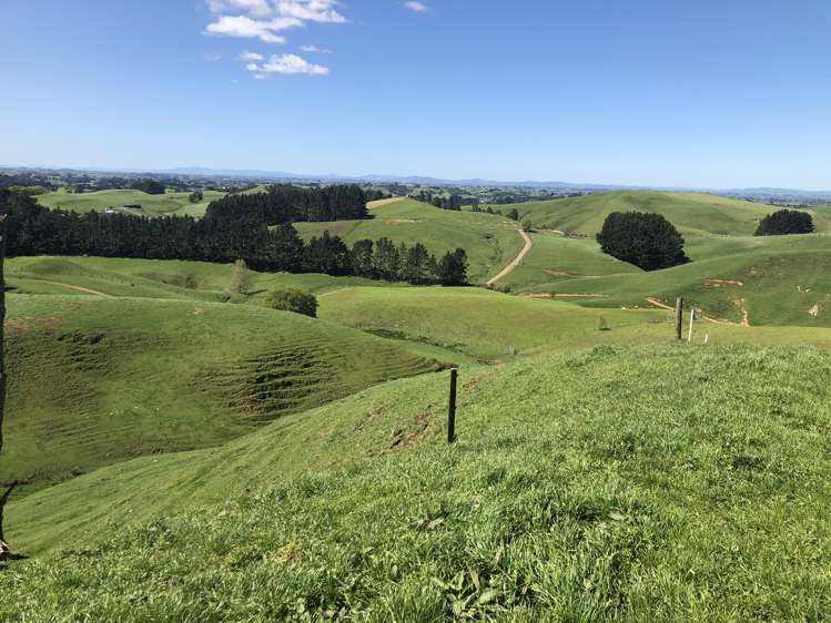 1026 Limeworks Loop Road Karamu_11