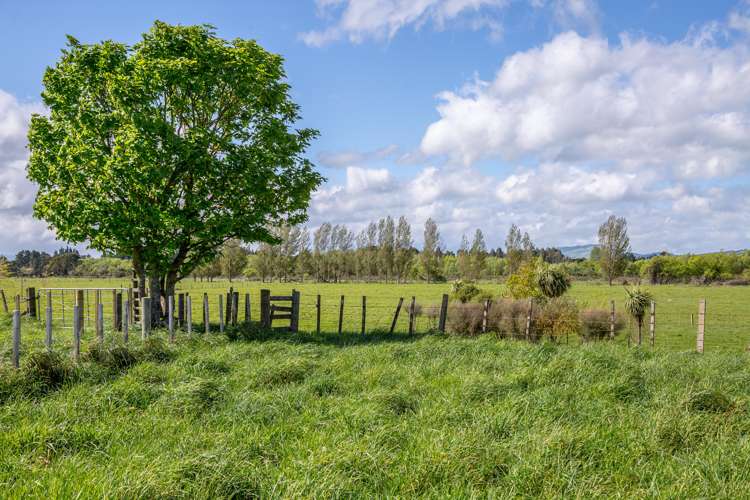 150 Norfolk Road Carterton_5