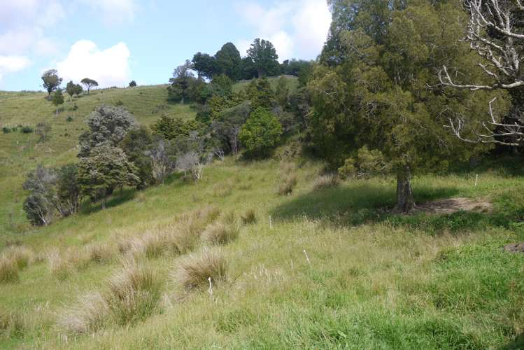 121 Guy Road Kaipara Flats_15