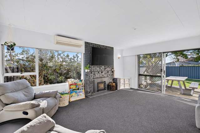 1 Arney Street Tamatea_1