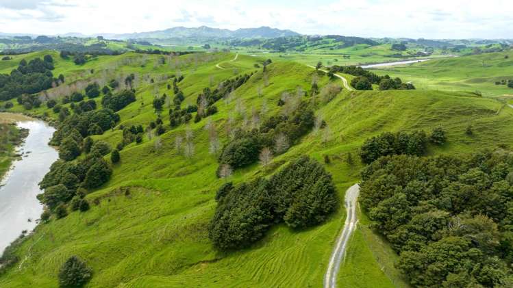 1906 Pukehuia Road Arapohue_5