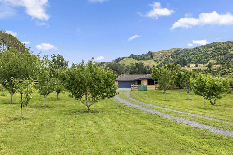 931 Limeworks Loop Road Karamu_13