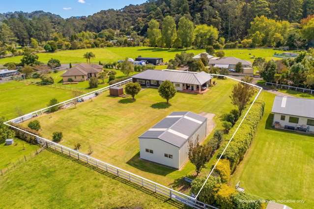 294 Albert Street Coromandel_2