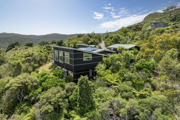 69 Piha Road Piha_34