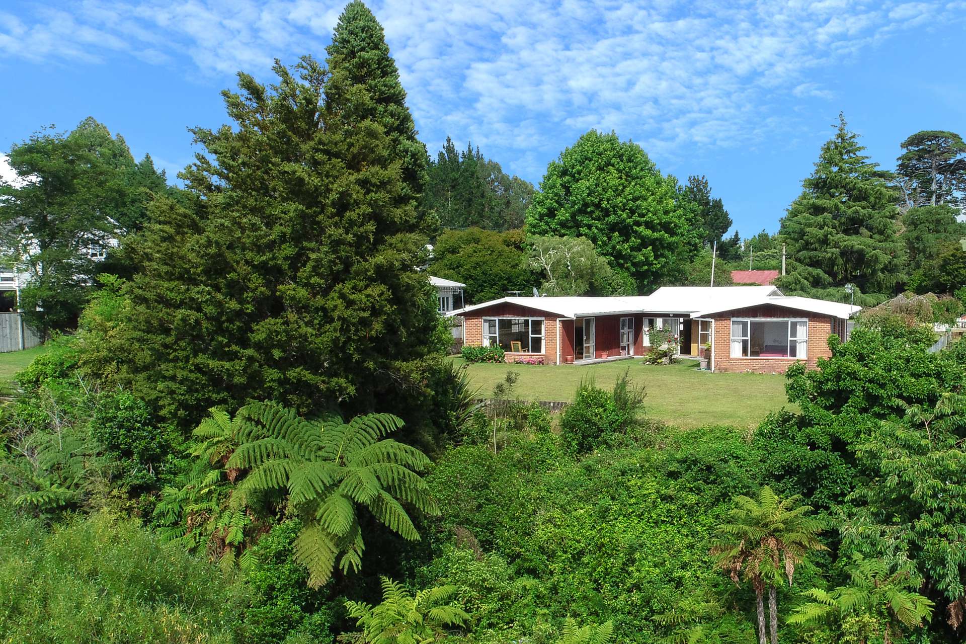 81 Mokoia Road Ngongotaha_0