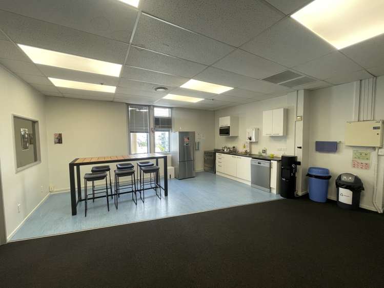 8 Virginia Avenue Eden Terrace_4