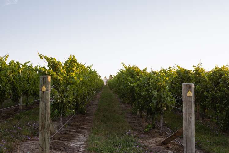 217 Caseys Road Seddon_14