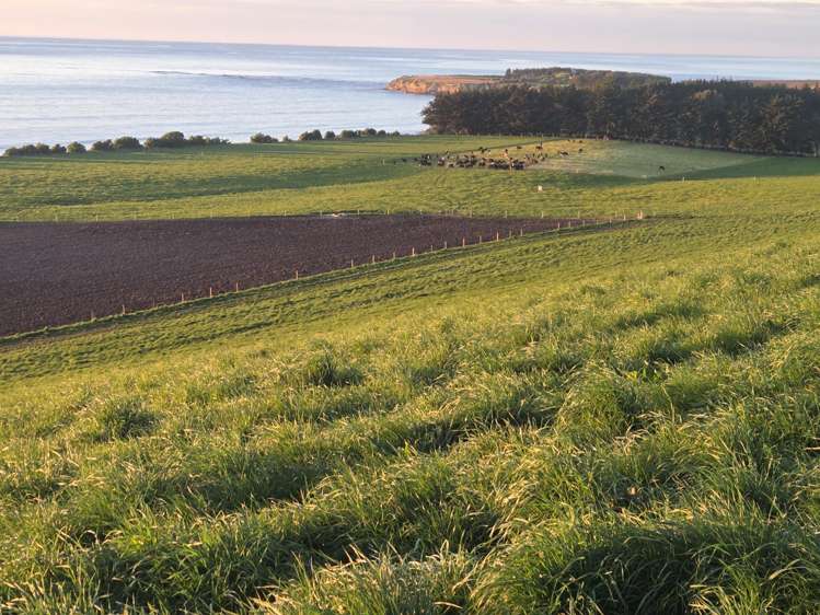 1183 Waianakarua Road Kakanui_15