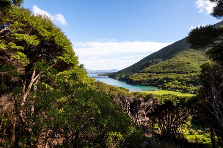 Lot 4 + 5 Te Aroha Bay, Otanerau Bay Marlborough Sounds_35