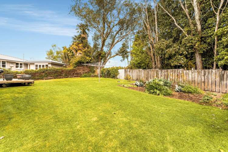 11 Kiwi Crescent Tauranga South_13