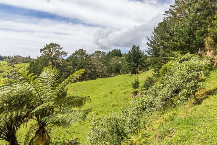 430 Krippner Road Puhoi_8