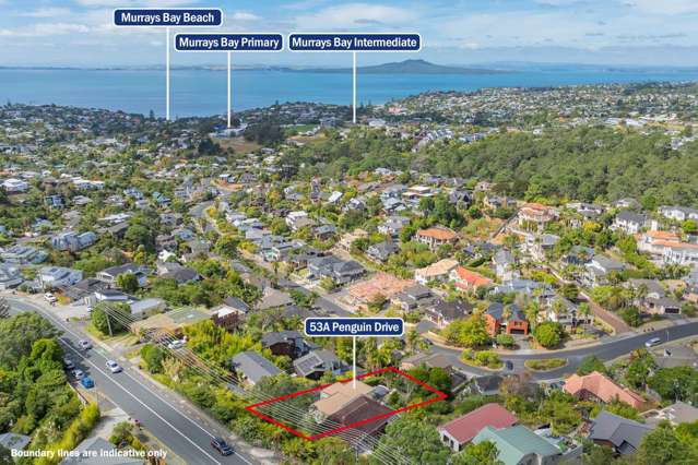 53A Penguin Drive Murrays Bay_4