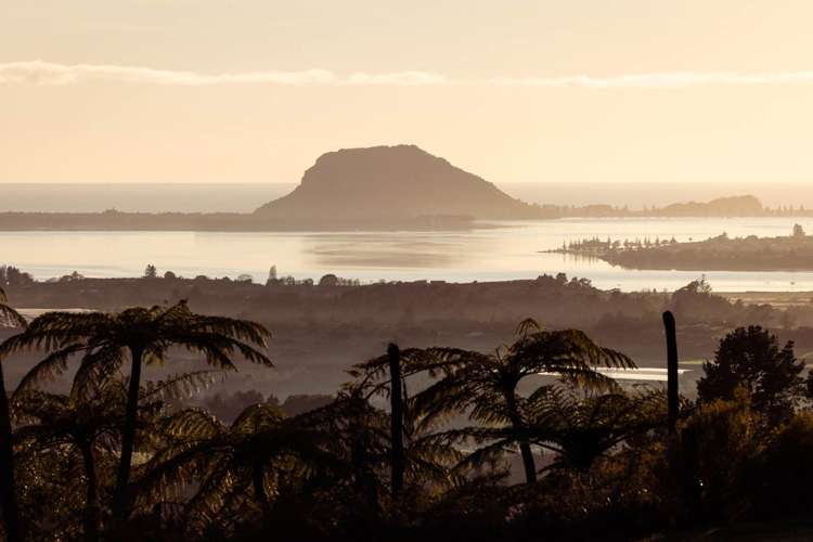 8 Pheasant Lane Te Puna_2