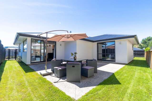 61 Owhiro Avenue Mosgiel_2