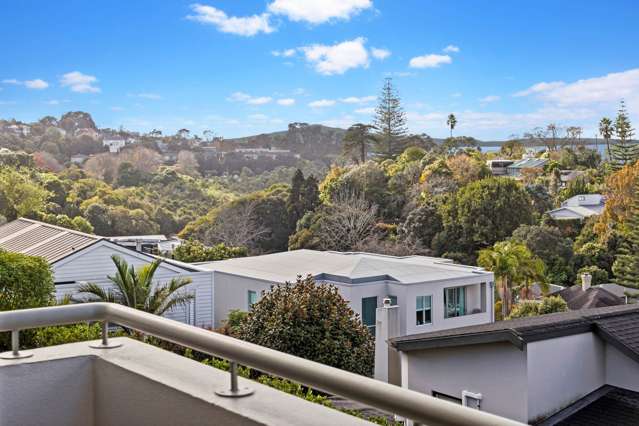 17 John Stokes Terrace Remuera_1