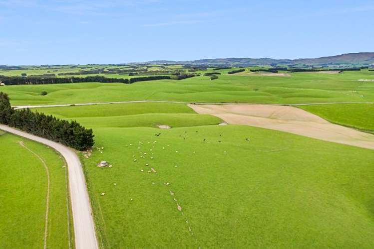 355 Clifton Road Clinton and Surrounds_12