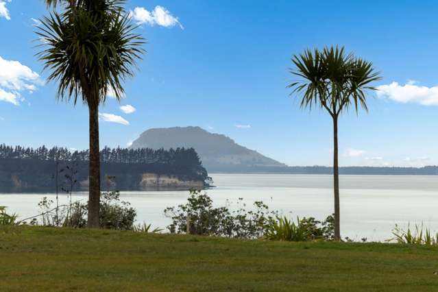 Introducing Lynley Park - Omokoroa Peninsula!